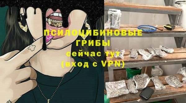 амфетамин Алексеевка