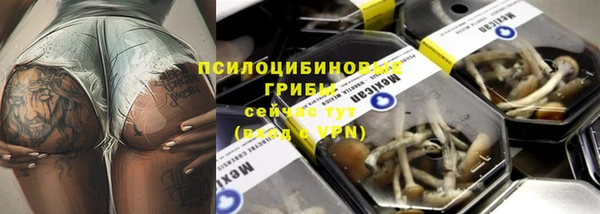 гашик Алзамай